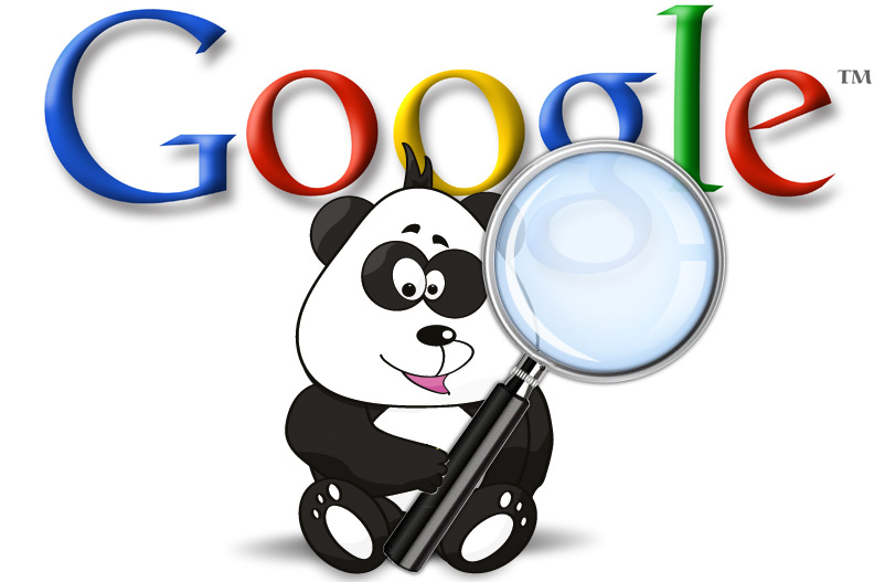 Comment Google Panda s'est transformé  En Google Coati ?